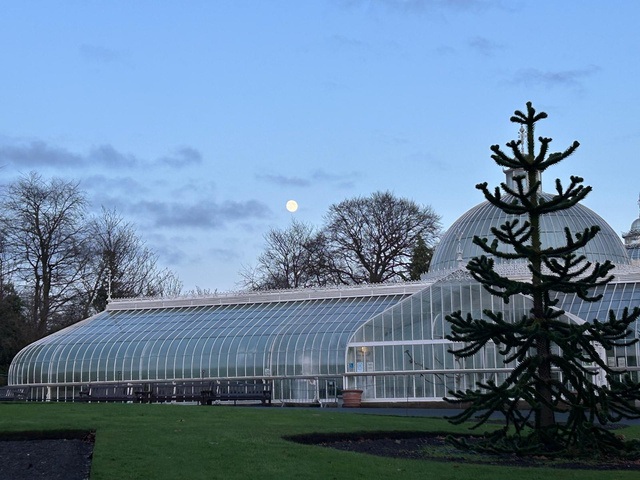 January in the Botanics