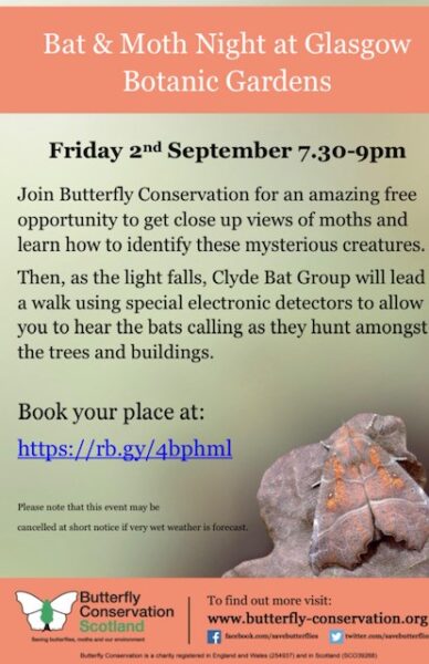 Join Butterfly Conservation for an amazing free opportunity to get close up views of moths and learn how to identify these mysterious creatures.  Then, as the light falls, Clyde Bat Group will lead a walk using special electronic detectors to allow you to hear the bats calling as they hunt amongst the trees and buildings.