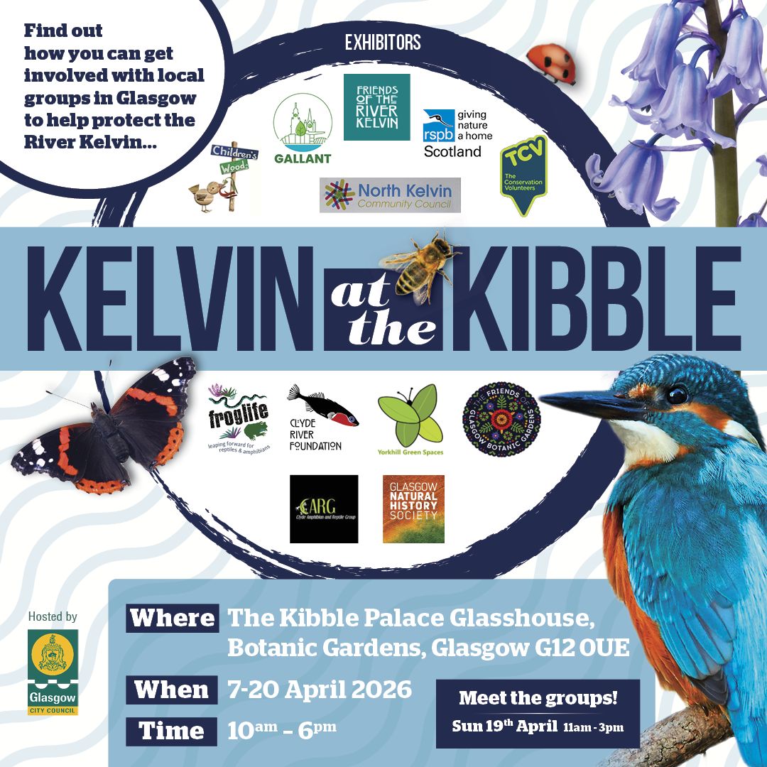 Kelvin at the Kibble 2026